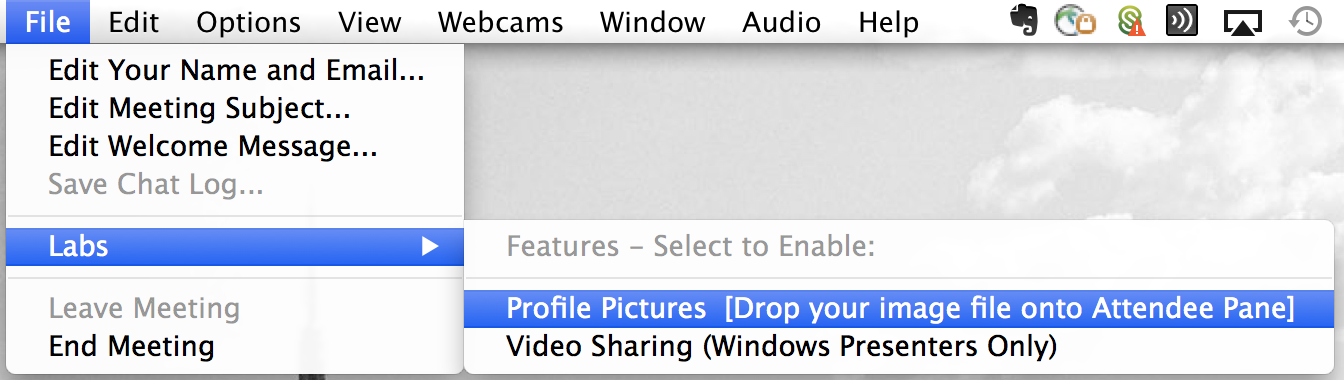 labs profile pictures
