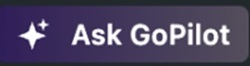 Ask GoPilot
